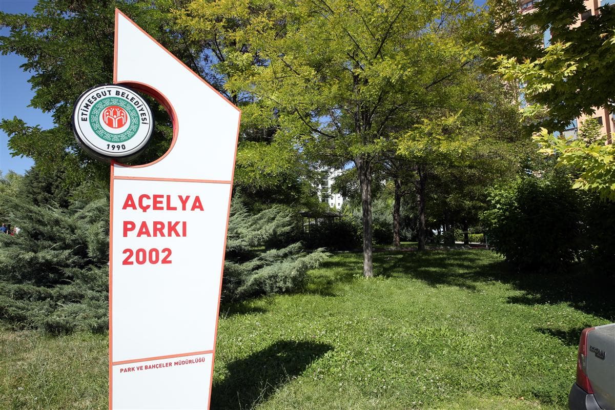 Açelya Parkı kapak görseli