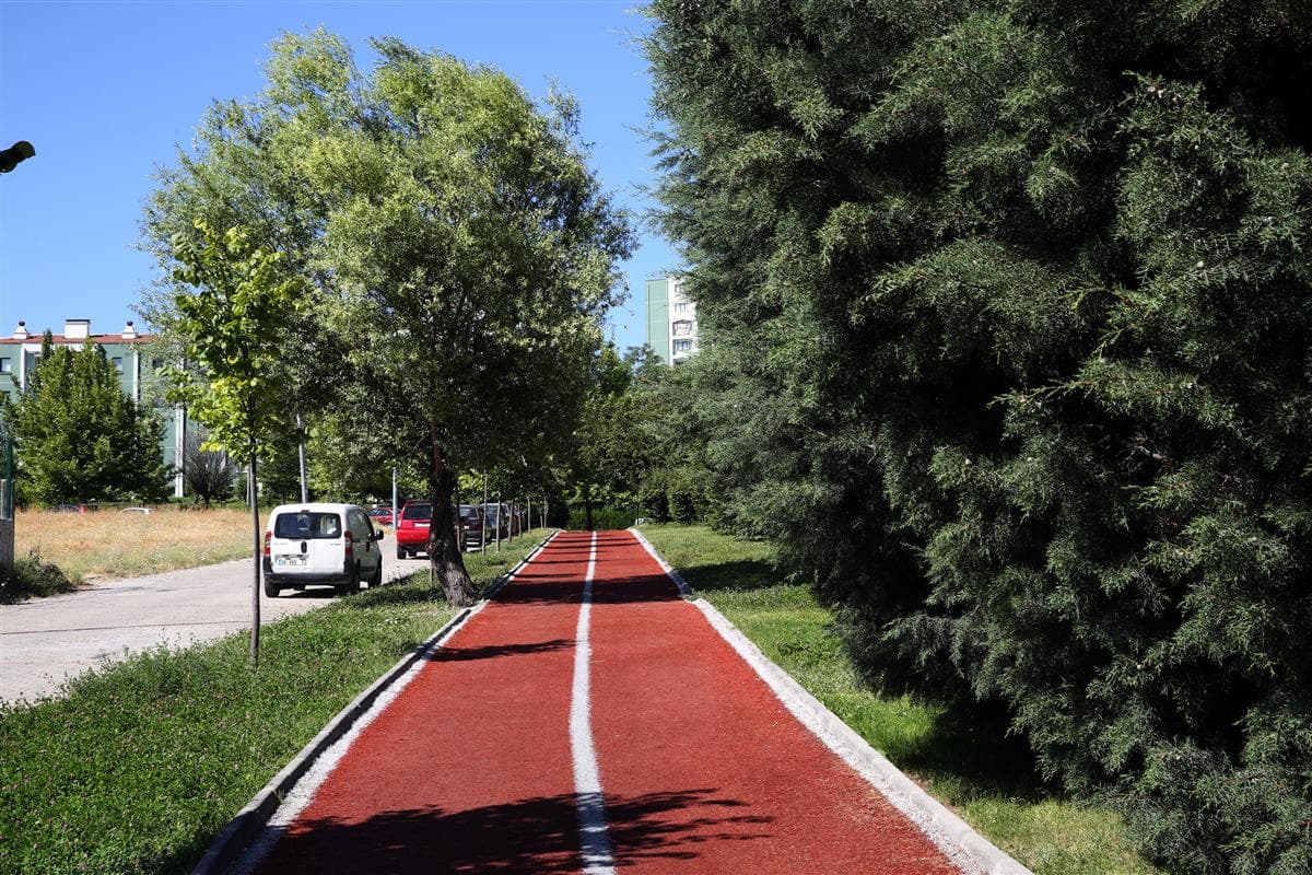 Açelya Parkı galeri fotoğrafı 2
