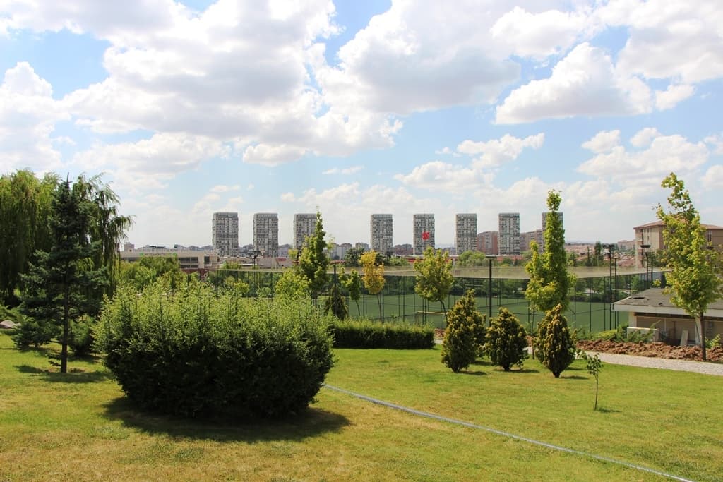 Ali Dinçer Parkı kapak görseli