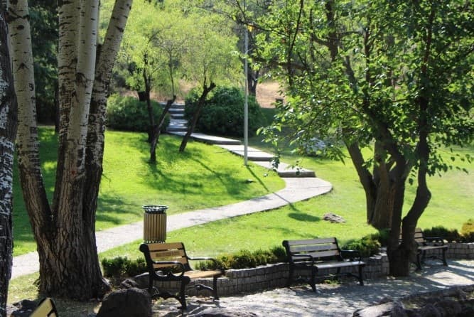 Botanik Parkı kapak görseli