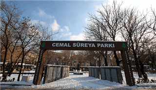 Cemal Süreya Parkı kapak görseli
