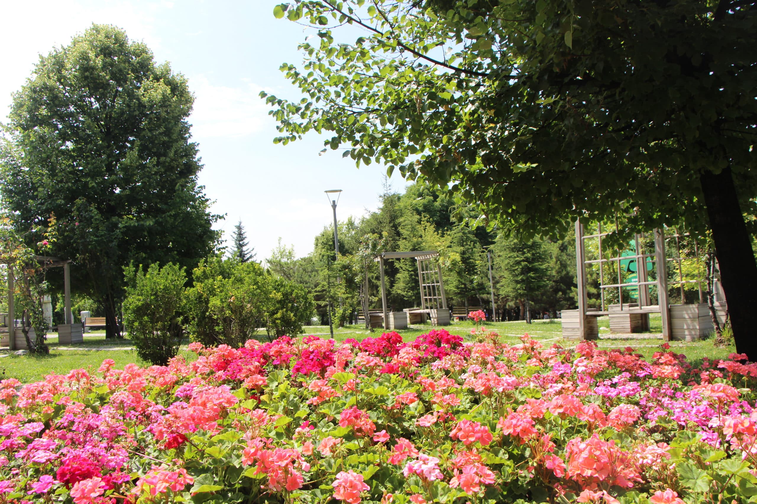 Demetevler Parkı galeri fotoğrafı 3