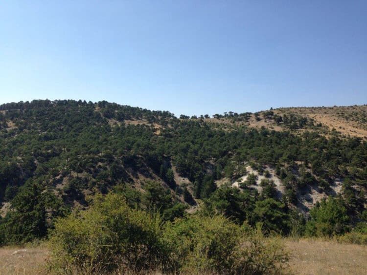 Durasan Şah Tabiat Parkı kapak görseli