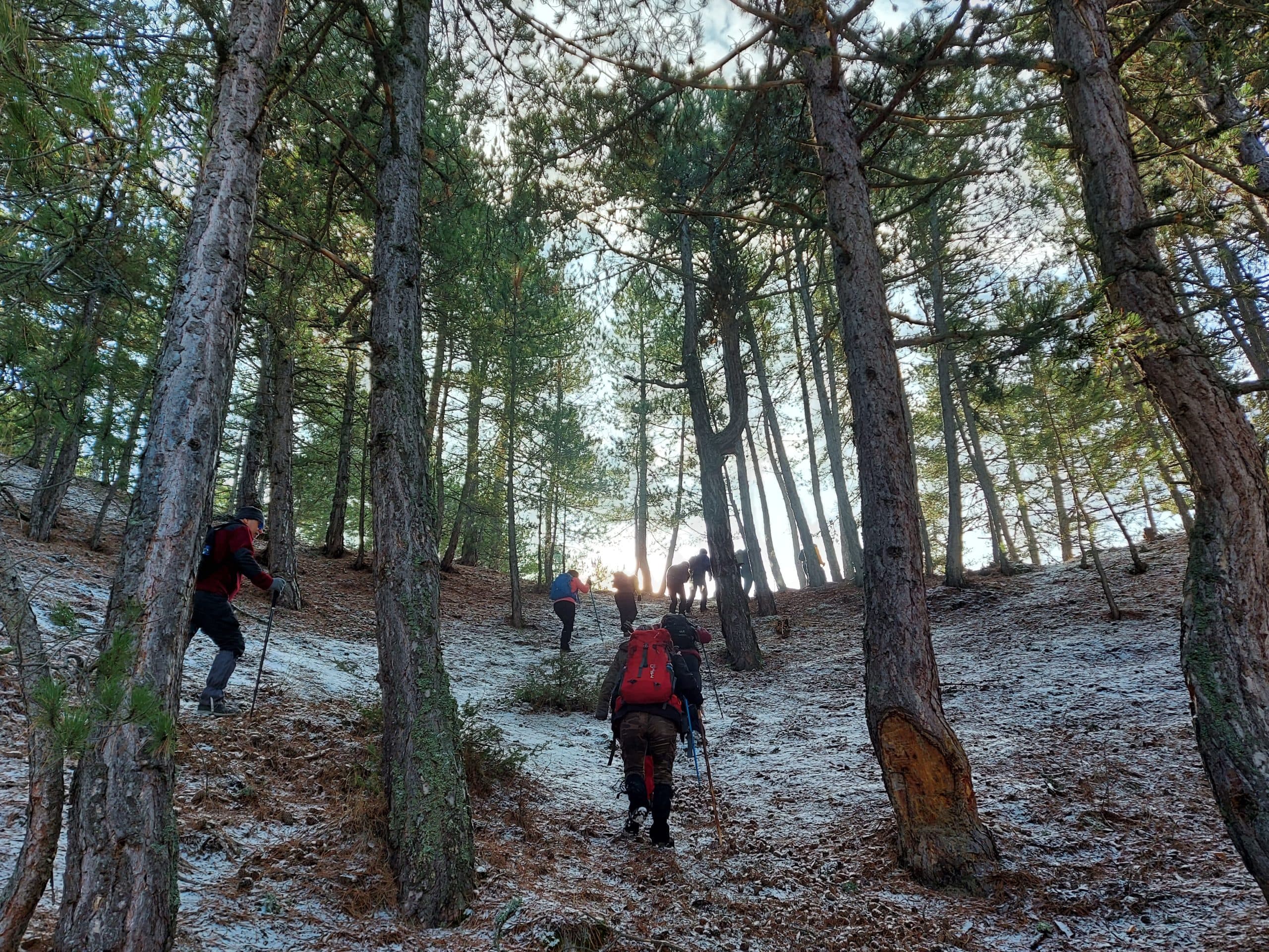 Durasan Şah Tabiat Parkı galeri fotoğrafı 3