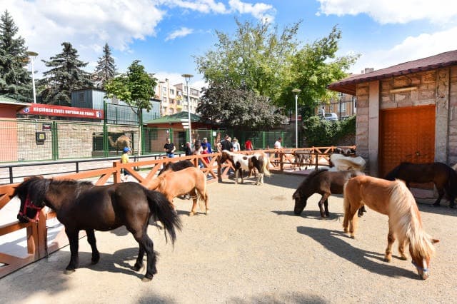Keçiören Evcil Hayvanlar Parkı kapak görseli