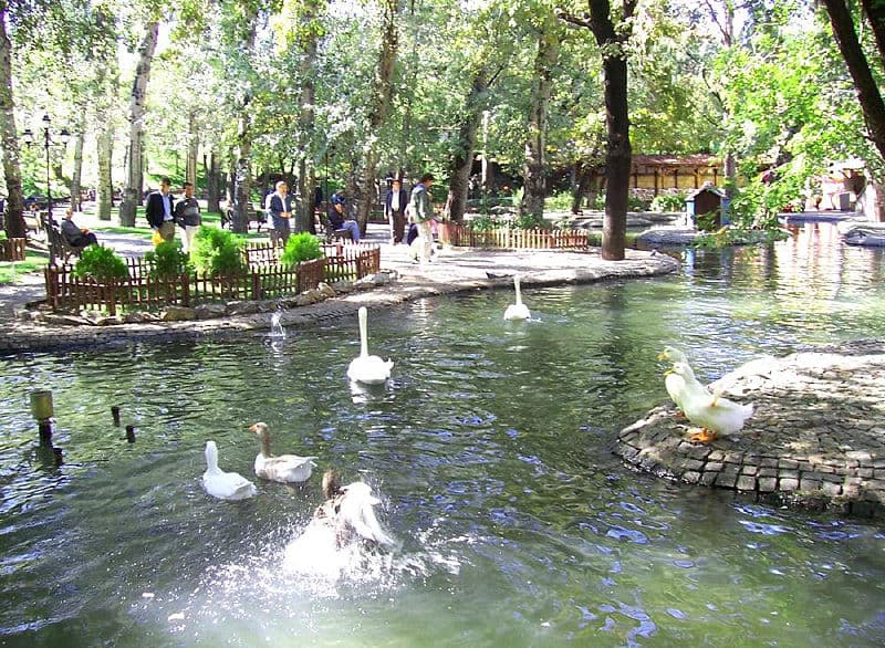 Kuğulu Park galeri fotoğrafı 3