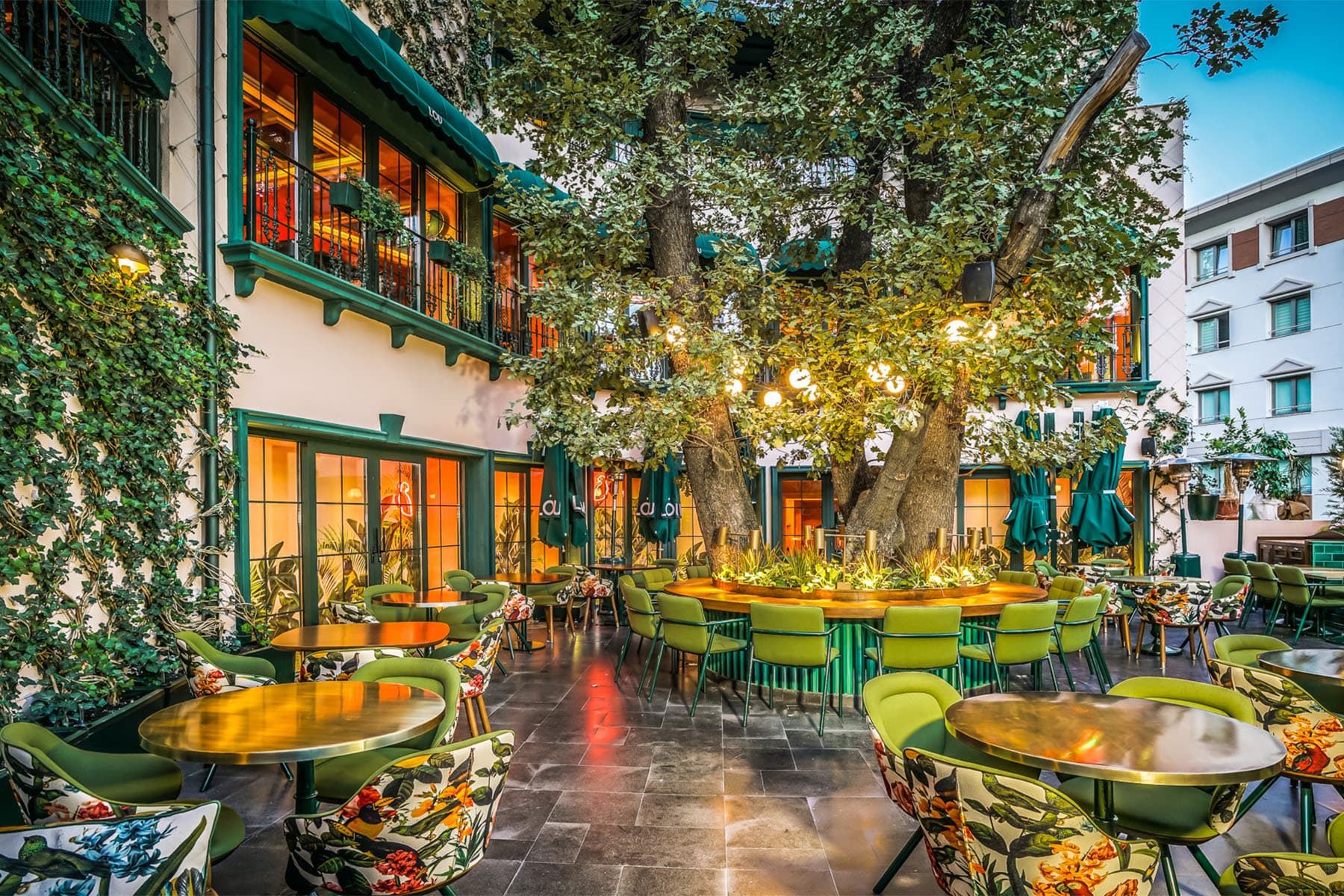 Lou Cafe Bistro galeri fotoğrafı 3