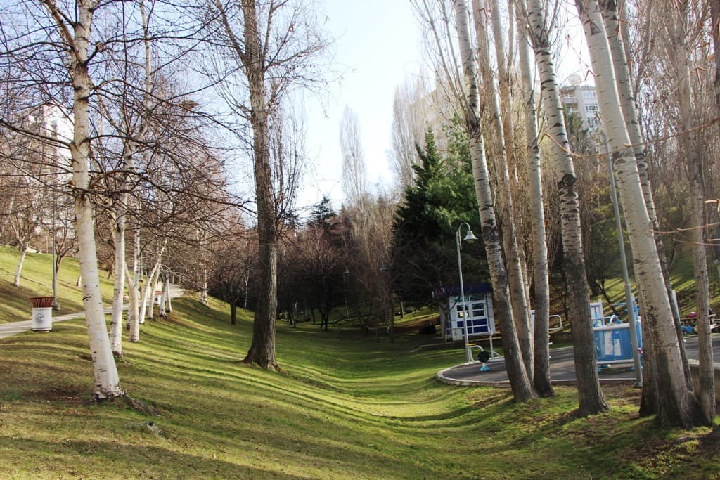 Portakal Çiçeği Parkı kapak görseli