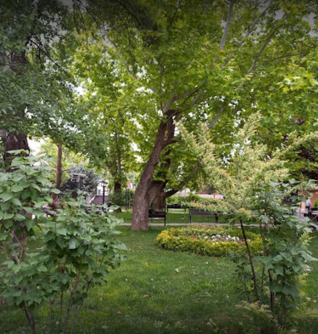 Ragıp Tüzün Parkı galeri fotoğrafı 2