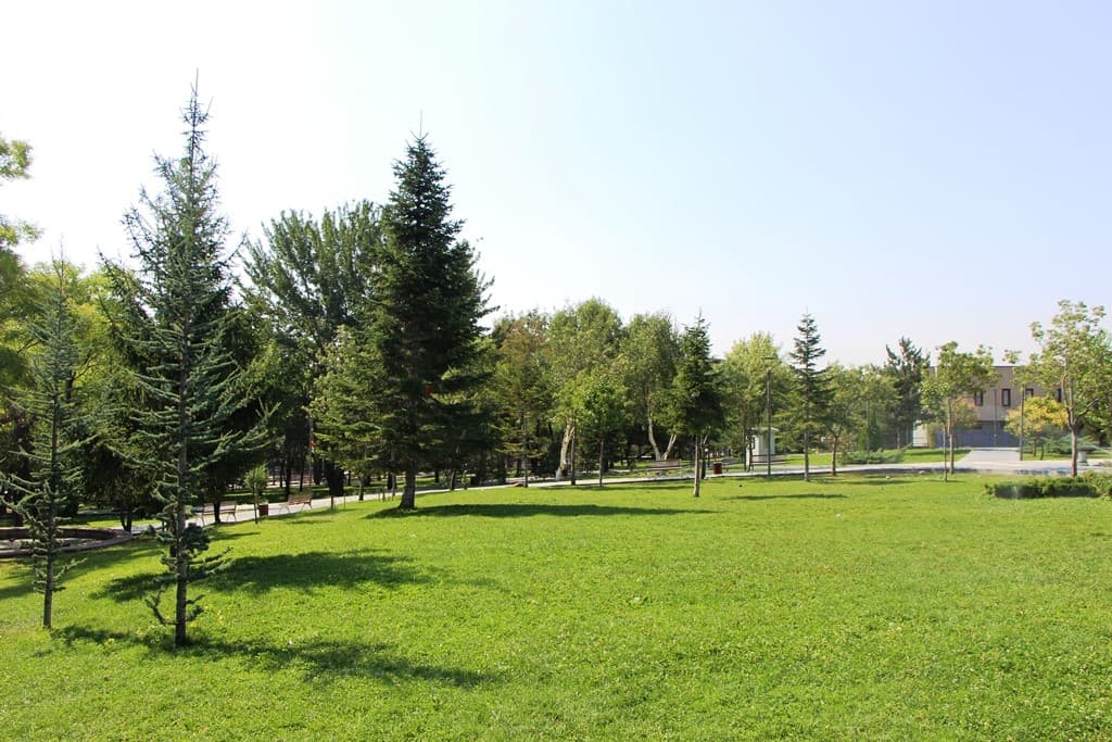 Şafaktepe Parkı kapak görseli