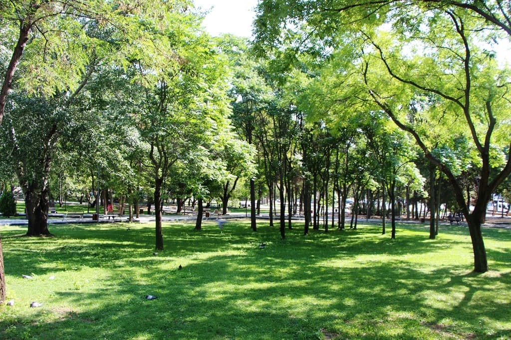 Şafaktepe Parkı galeri fotoğrafı 2