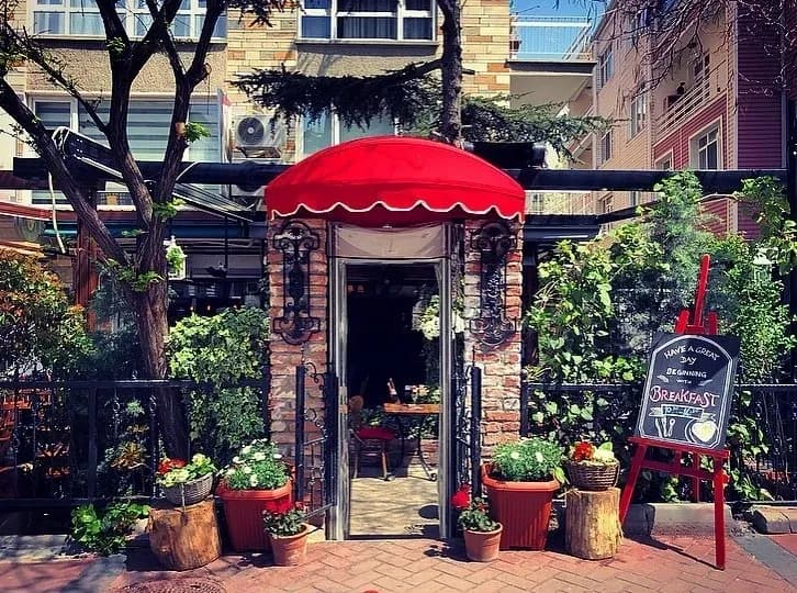 Sardunya Cafe kapak görseli