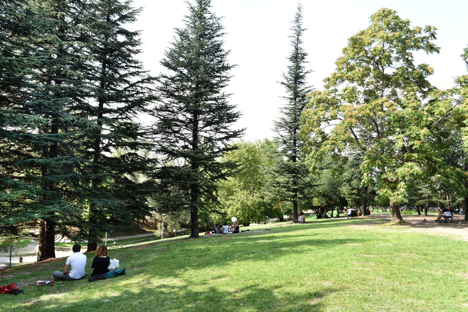 Seğmenler Parkı kapak görseli