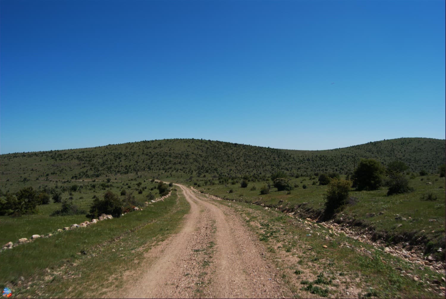 Tekkedağı Tabiat Parkı galeri fotoğrafı 3