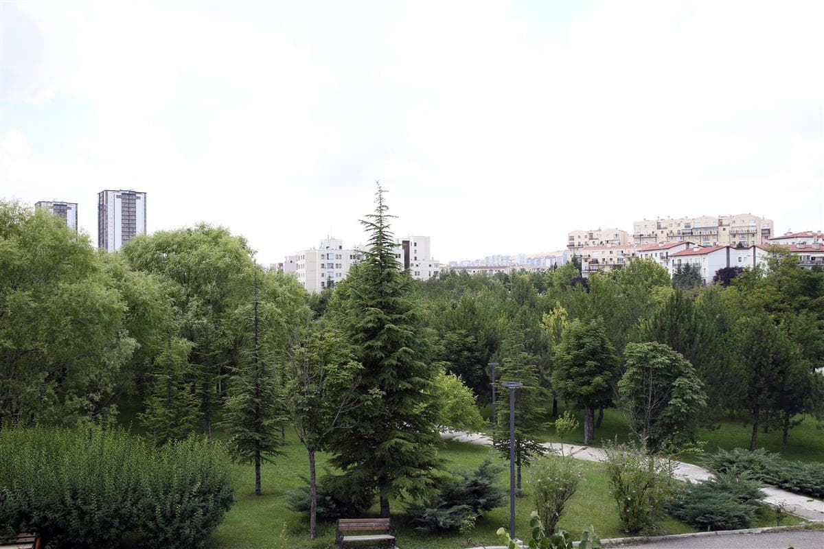 Türkistan Parkı galeri fotoğrafı 3